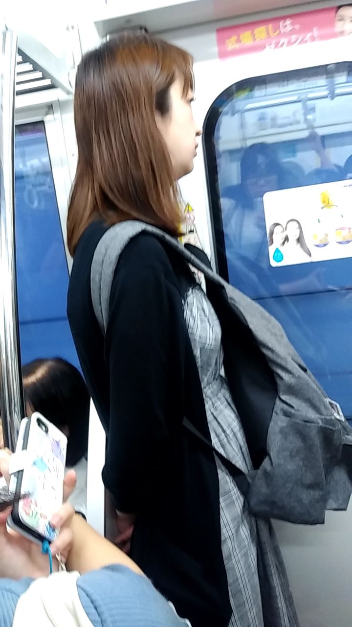 先日の女装して女性専用車両 変態女装マゾ寛子のblog