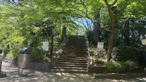 a06