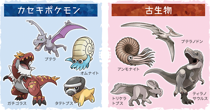 こうかはばつぐんだ 豊橋のポケモン化石博物館 ポケふた 豊橋商工会議所オフィシャルブログ Toyohashi Bizoo