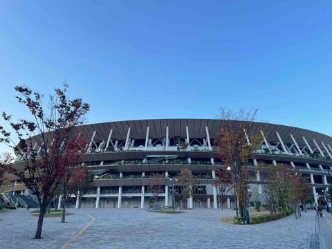 プレドニン週5日→週3日へ　ルッコラの日常　12月12日～19日