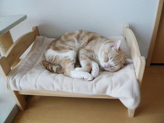 ikea_dool_bed1