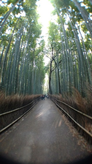 canadagirl_japan_12