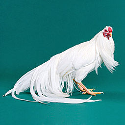 08de7c13.jpg