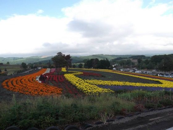 hokkaido_turing4