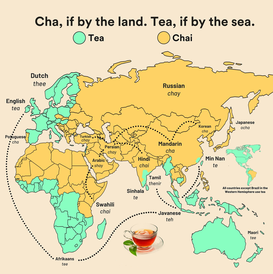 海外 日本ではお茶と呼んでいるね お茶のことをchaiと呼ぶ国とteaと呼ぶ国で分けた世界地図を見た海外の反応 すらるど 海外の反応