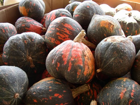 pumpkin_7