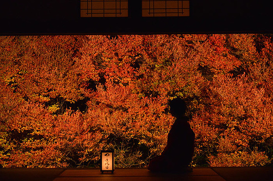 japan_autumnwindow_5