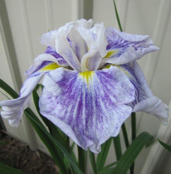00422