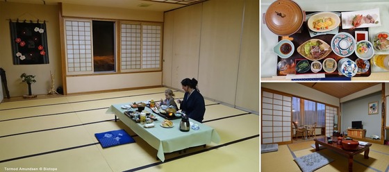 bird_japan_42