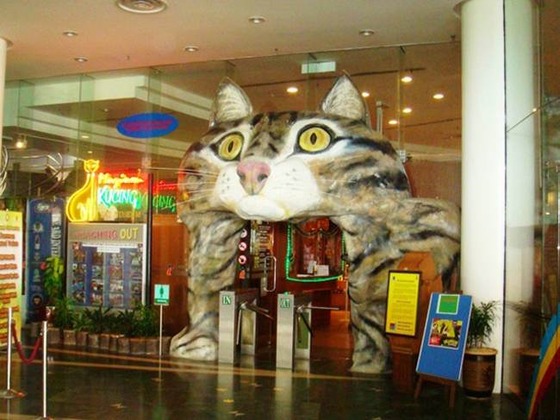 catland_4_2