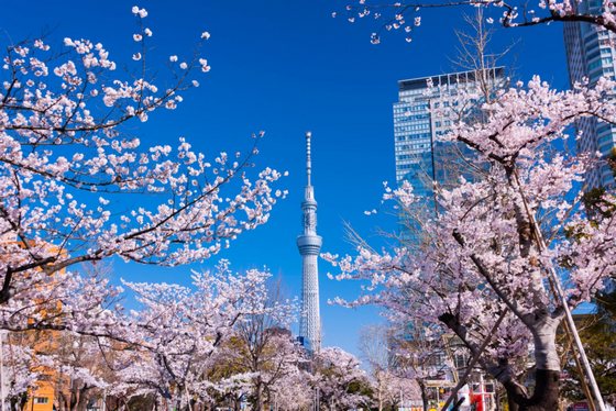japan_travel_0