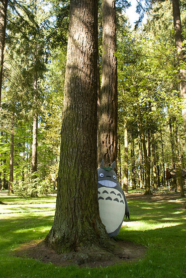 totoro16