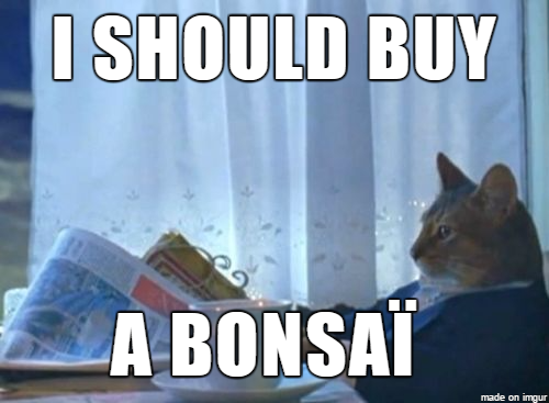 bonsai_style_13