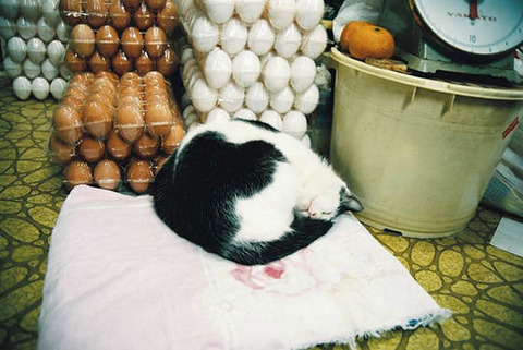21b81a21.jpg