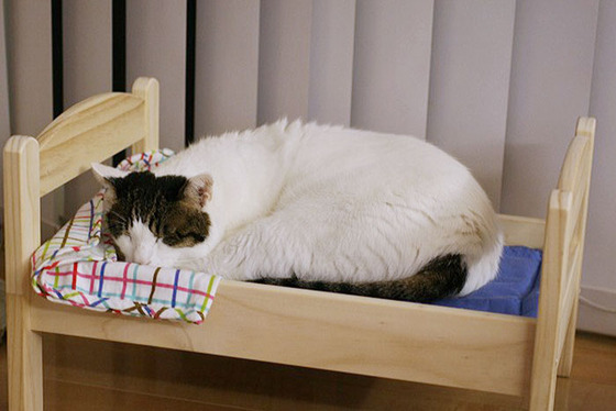 ikea_dool_bed10