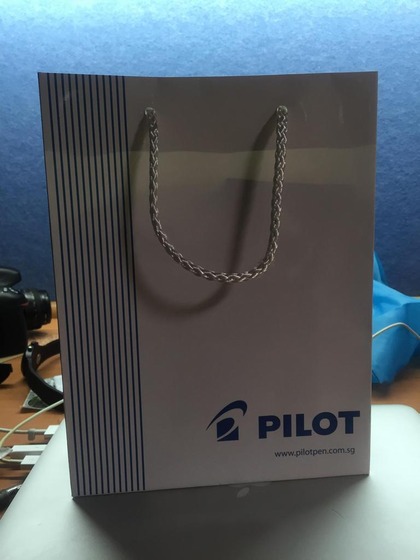 pilot_1