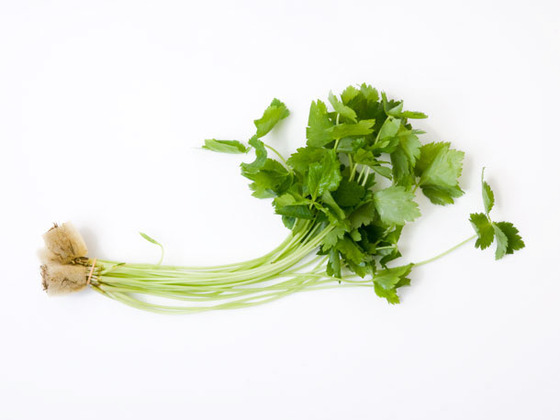 veg_8