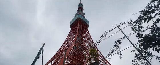 06144