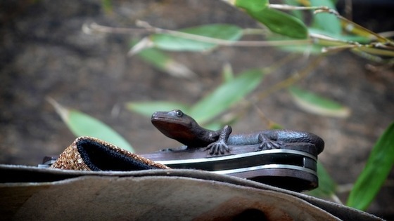 nakayama_hidetoshi_knives15