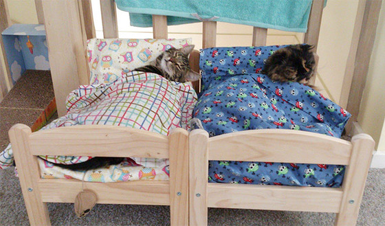 ikea_dool_bed3