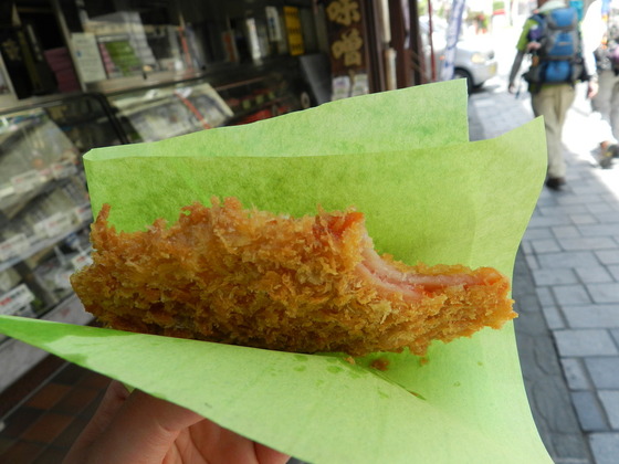 swedish_japan_trip_50