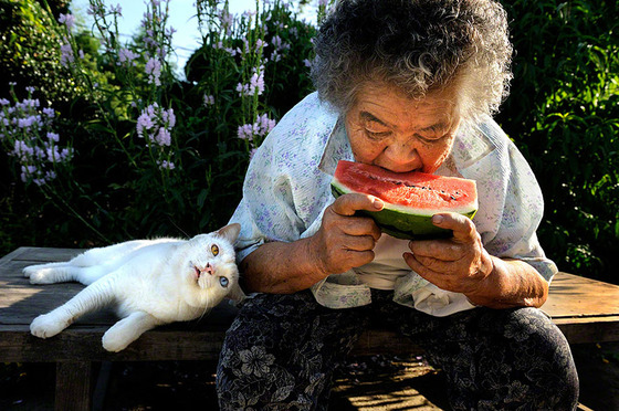 misao_fukumaru_4