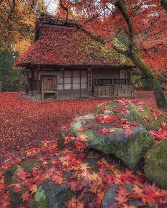 海外 まるでゲームの世界だ 紅葉に囲まれた奈良県の水谷茶屋が美しいと海外で話題に すらるど 海外の反応