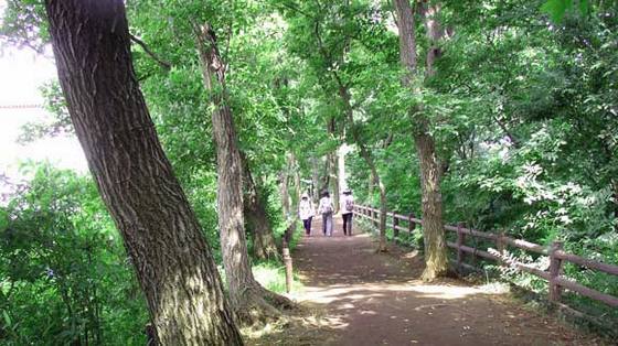 Hachioji_2