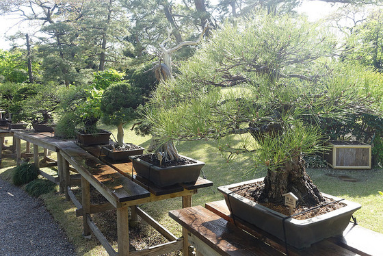 tokyo_luxury_61
