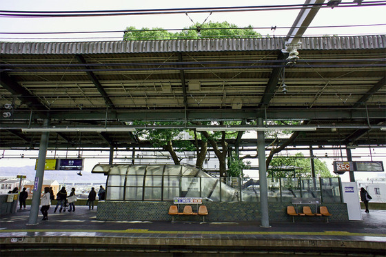 kayashima_4
