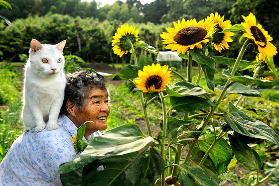 misao_fukumaru_3