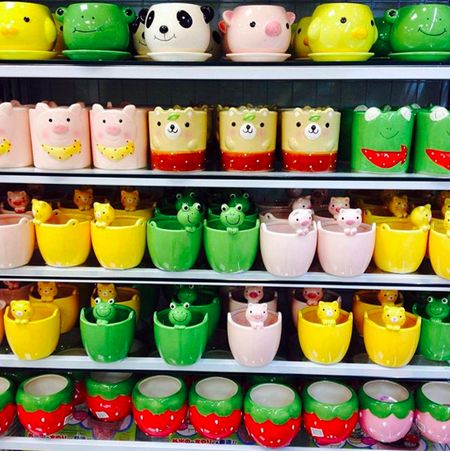 daiso_2