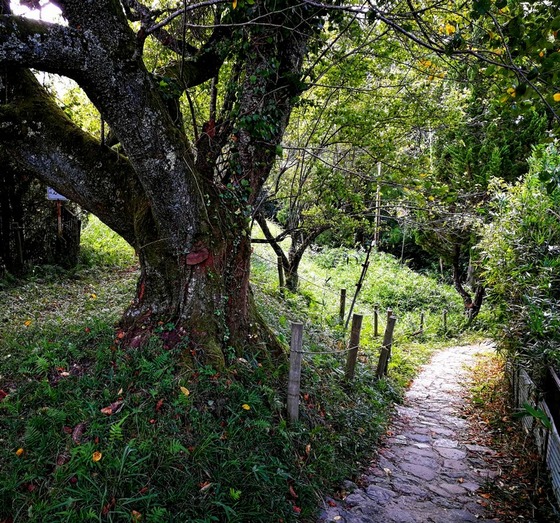 04881