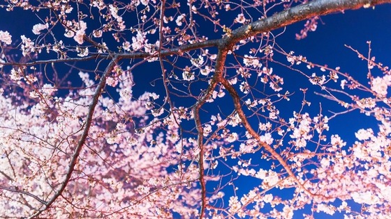 wallpaper_34