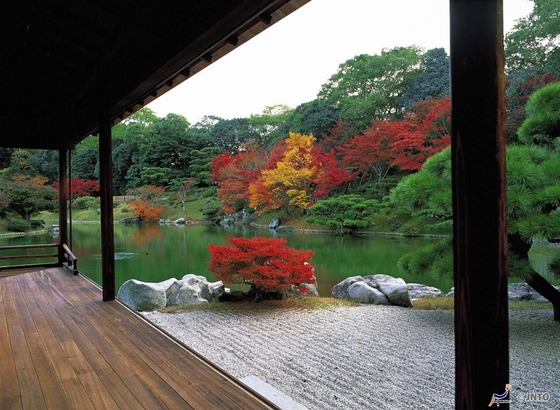 japan_fallscene2
