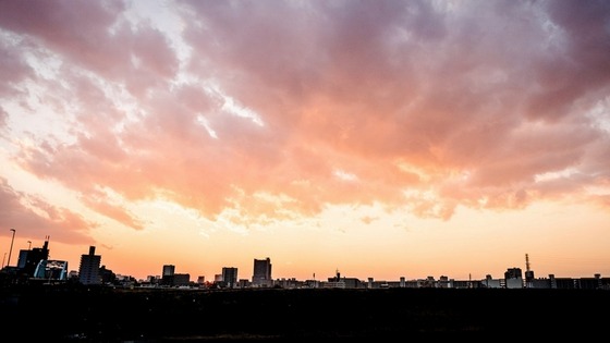 wallpaper_31