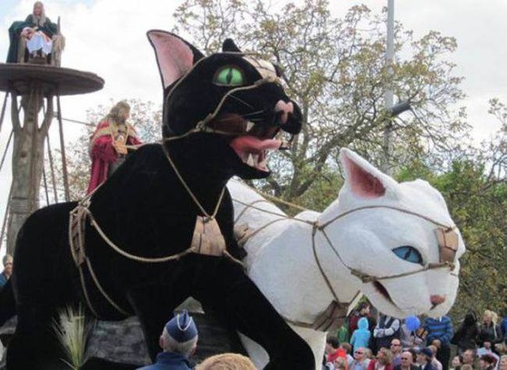 catland_6_3