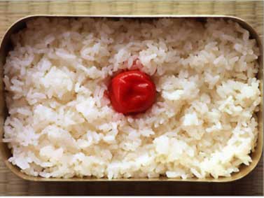 world_foodflag20