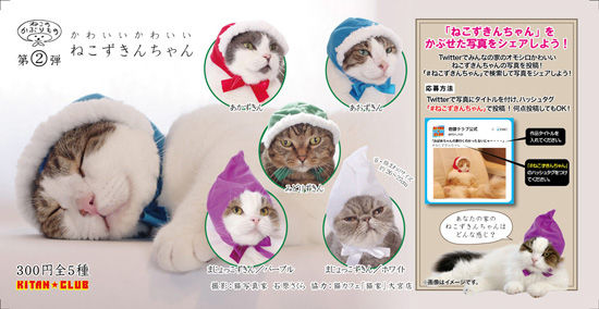 japan_parise_1