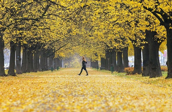 autumn_place_8