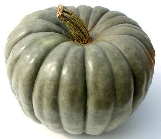 pumpkin_6