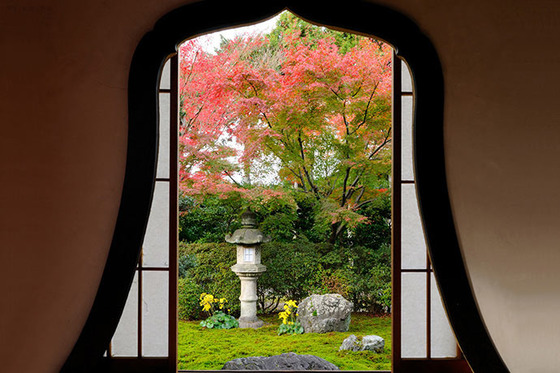 japan_autumnwindow_6