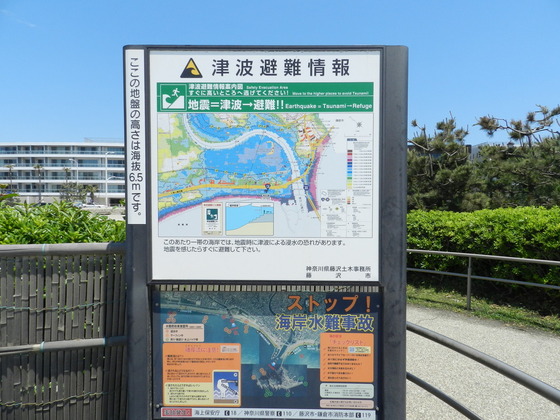 swedish_japan_trip_23