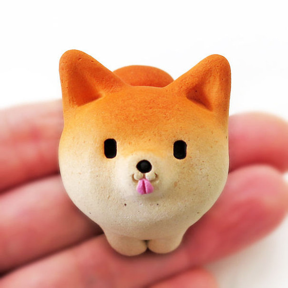 shibainu_26