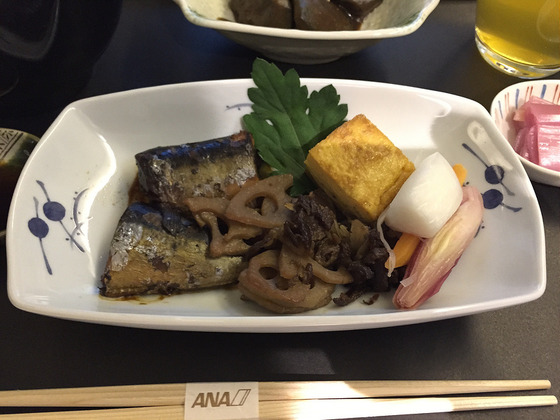jal_ana_79