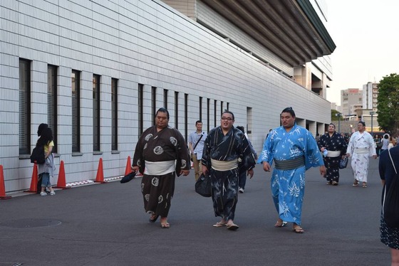 sumo_12