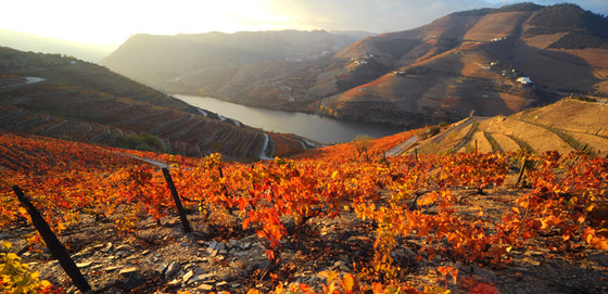 autumn_place_5