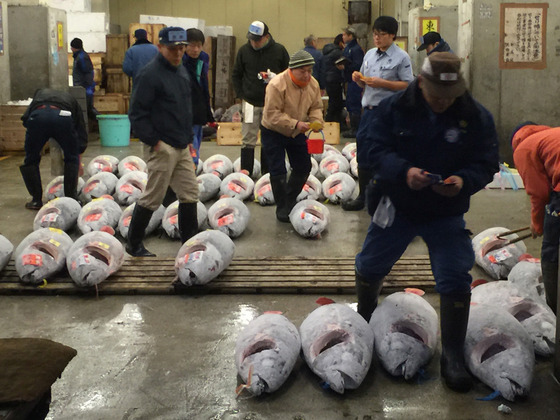 tsukiji_25
