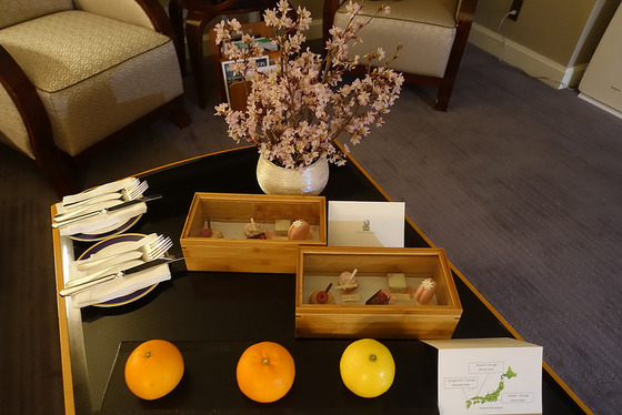 tokyo_luxury_8