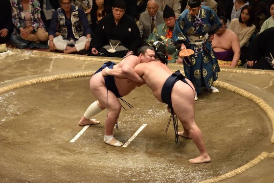 sumo_7